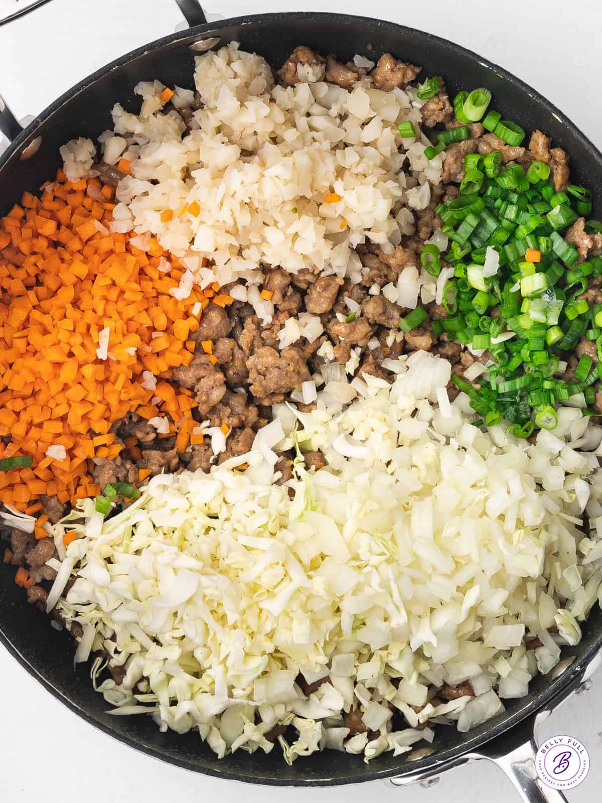 Pan-Fried Lumpia with Pork and Vegetable Filling
