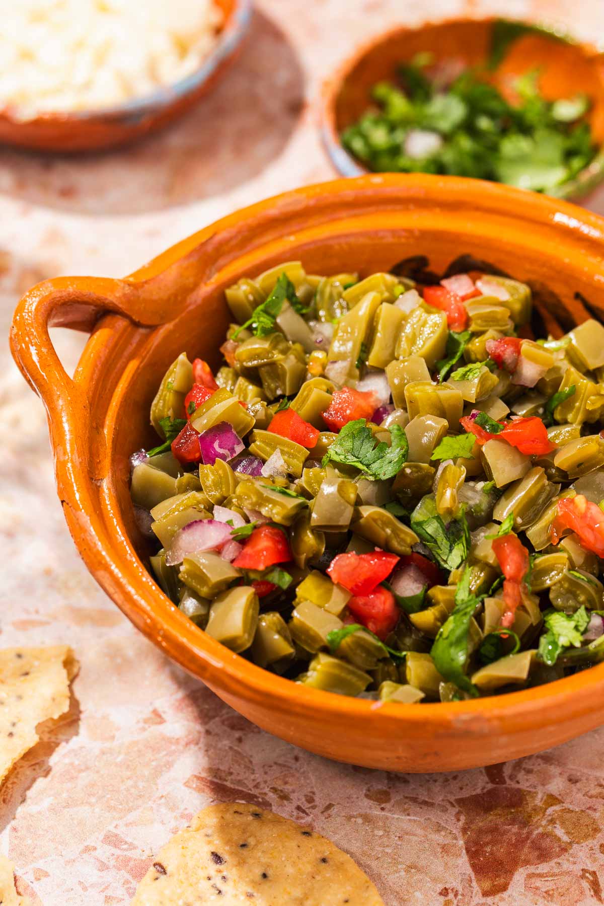 Oaxacan Oregano and Nopal Cactus Salad