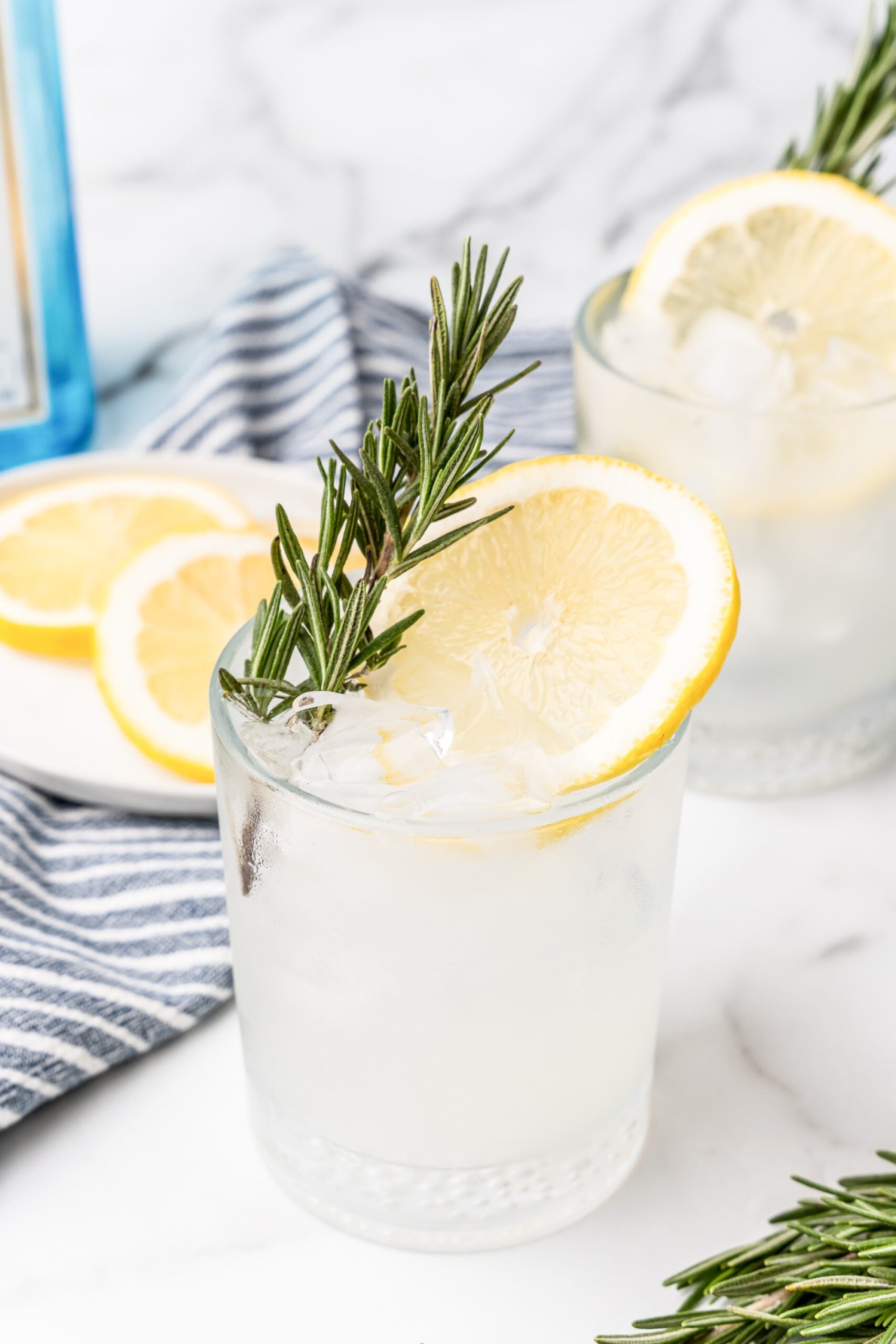 Rosemary Citrus Gin Fizz Cocktail