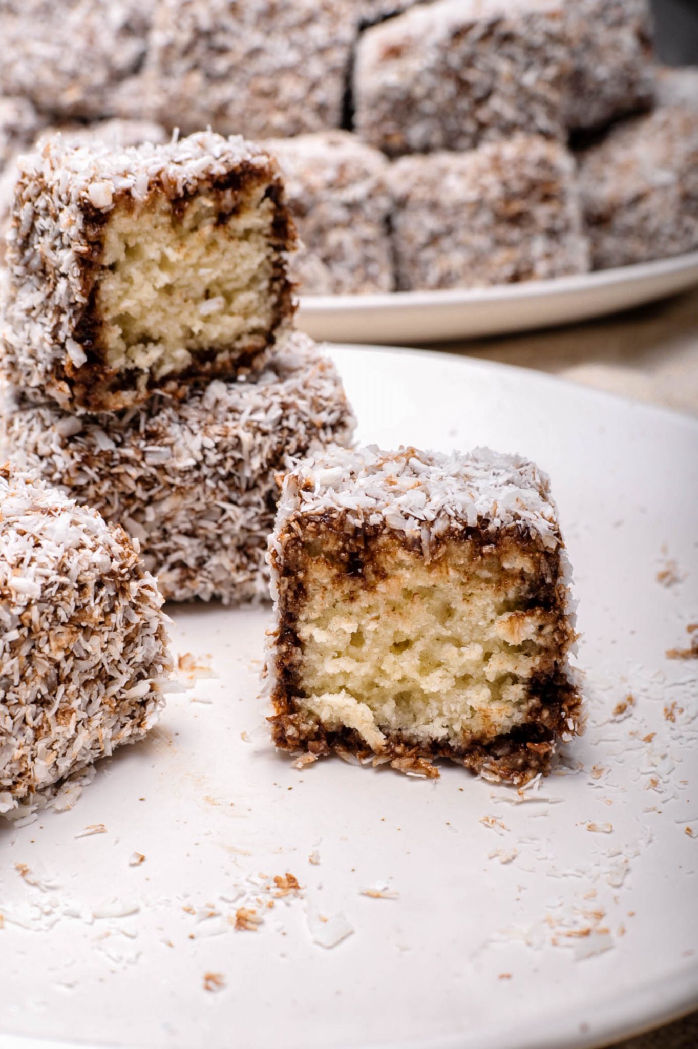 Baked Lamington-Inspired Coconut Chocolate Squares