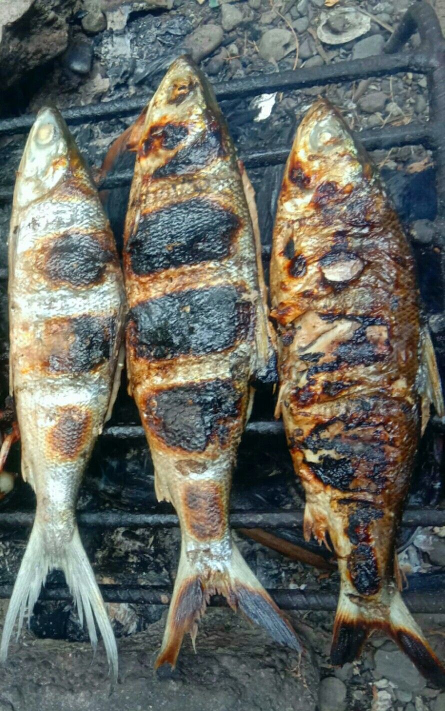Grilled Bangus Marinated in Calamansi and Soy