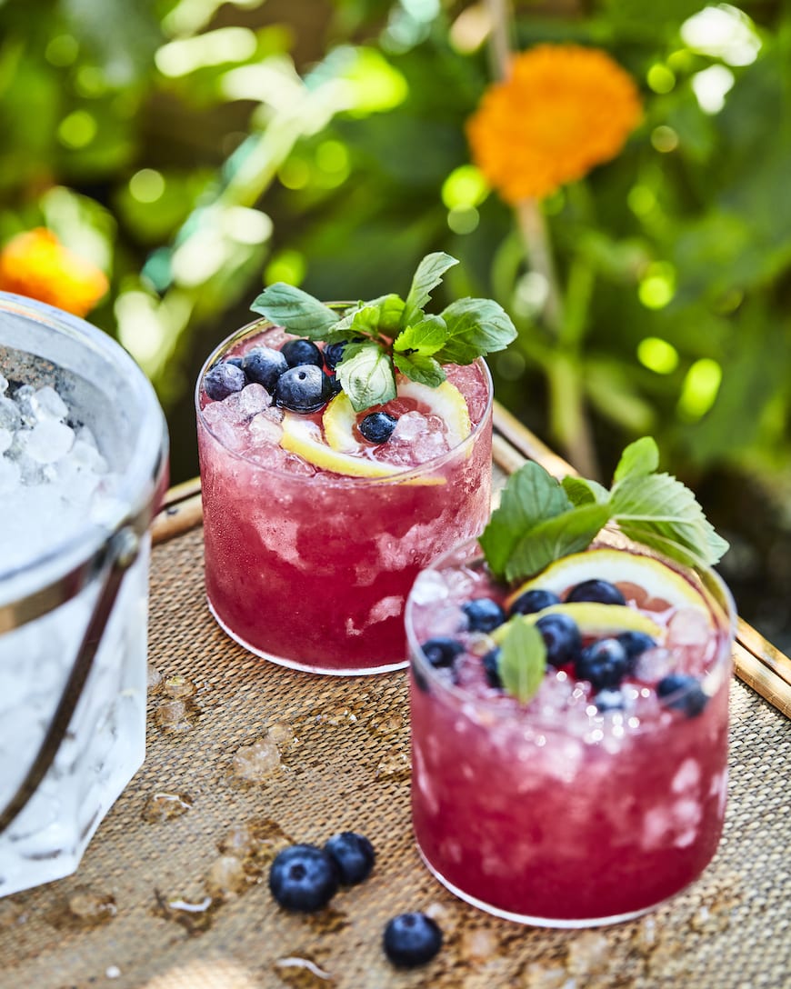 Frozen-Inspired Blueberry and Mint Lemonade