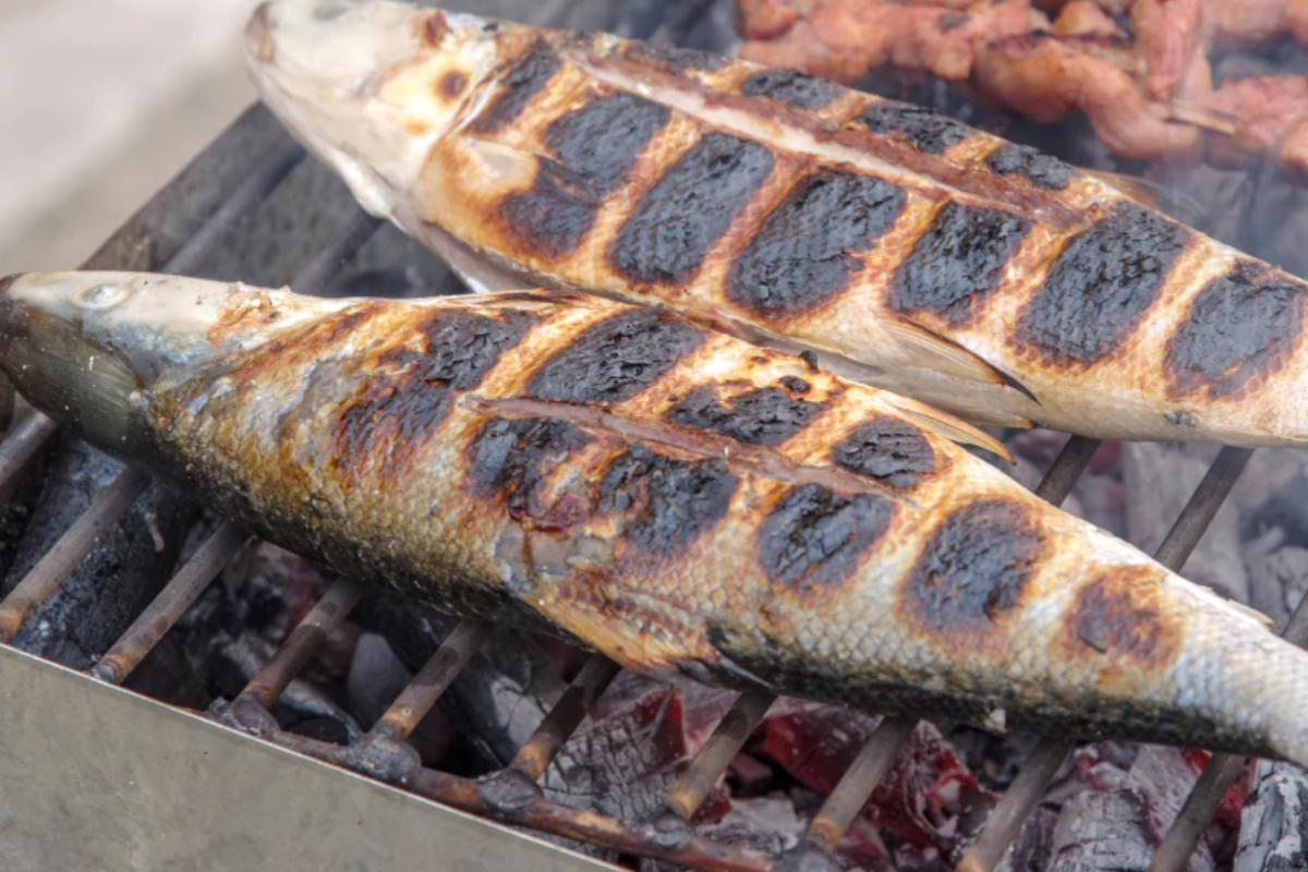 Vinegar-Marinated Grilled Bangus with Garlic and Chili