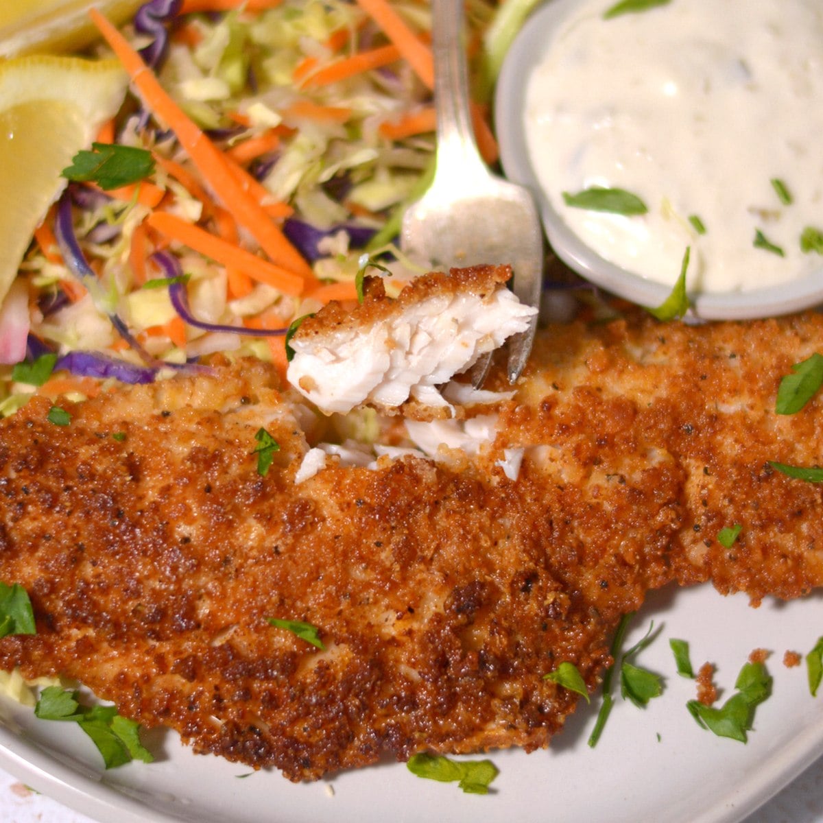 Pan-Seared Lake Erie Walleye with Detroit-Style Malt Vinegar Slaw