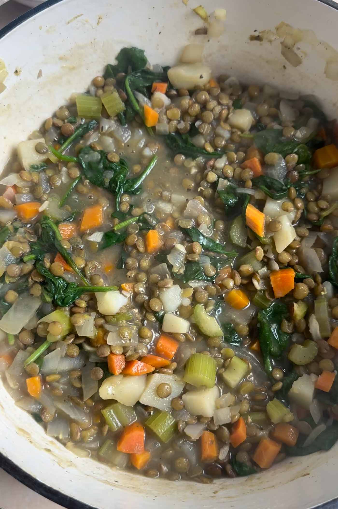 Detroit-Inspired Spiced Lentil and Vegetable Stew