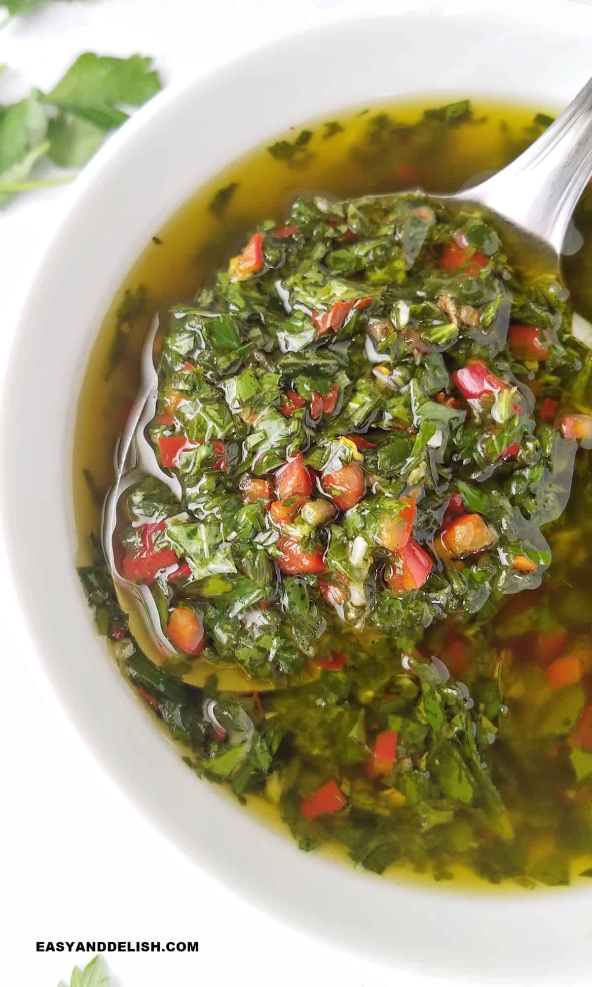 Chimichurri Sauce with Parsley and Red Wine Vinegar