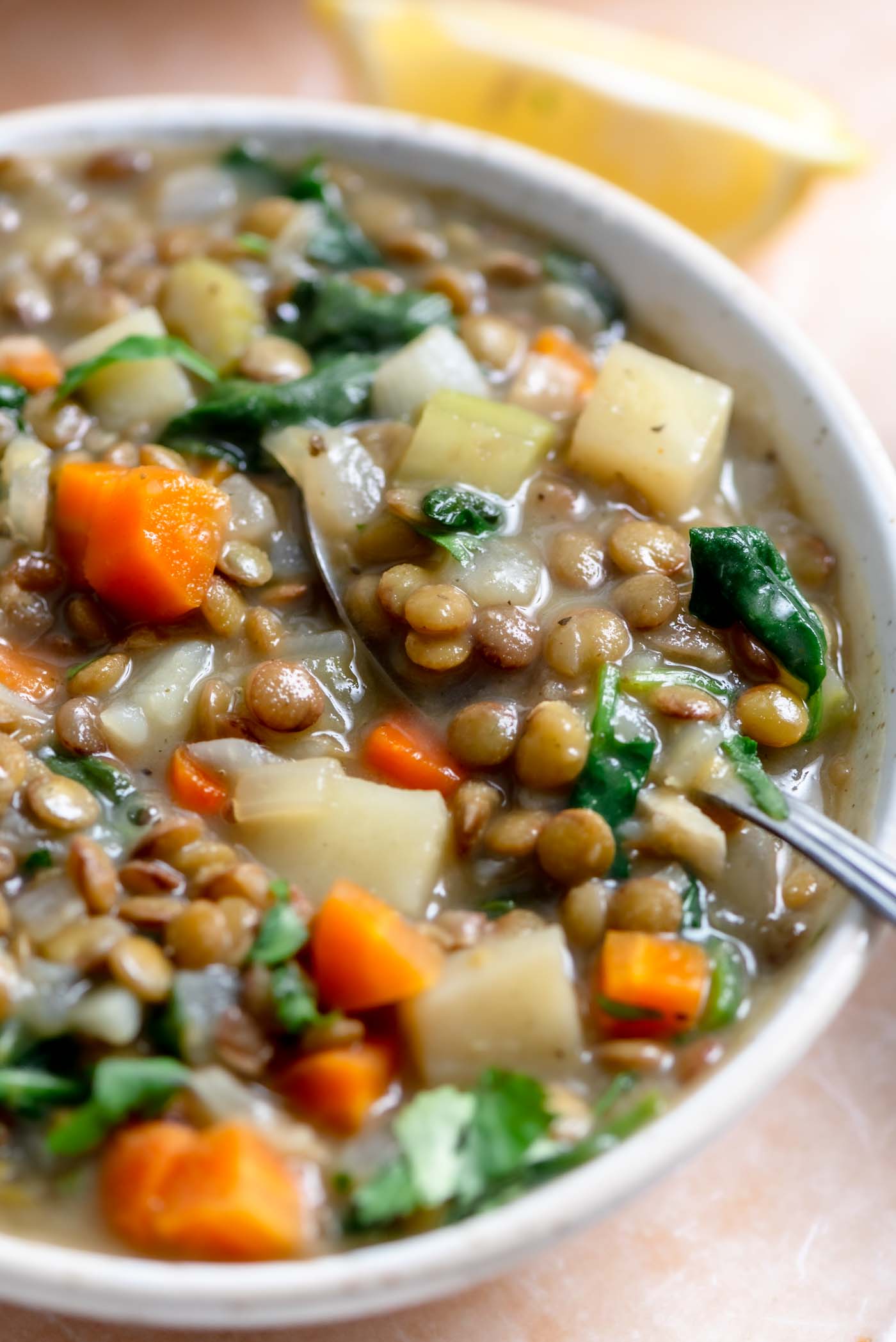 Village-Style Rustic Vegetable and Lentil Stew