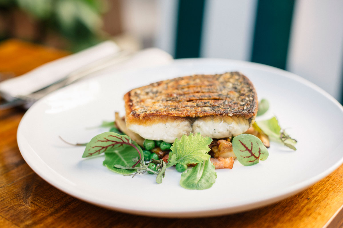 Tasmanian Pepperberry Grilled Barramundi with Macadamia Salsa