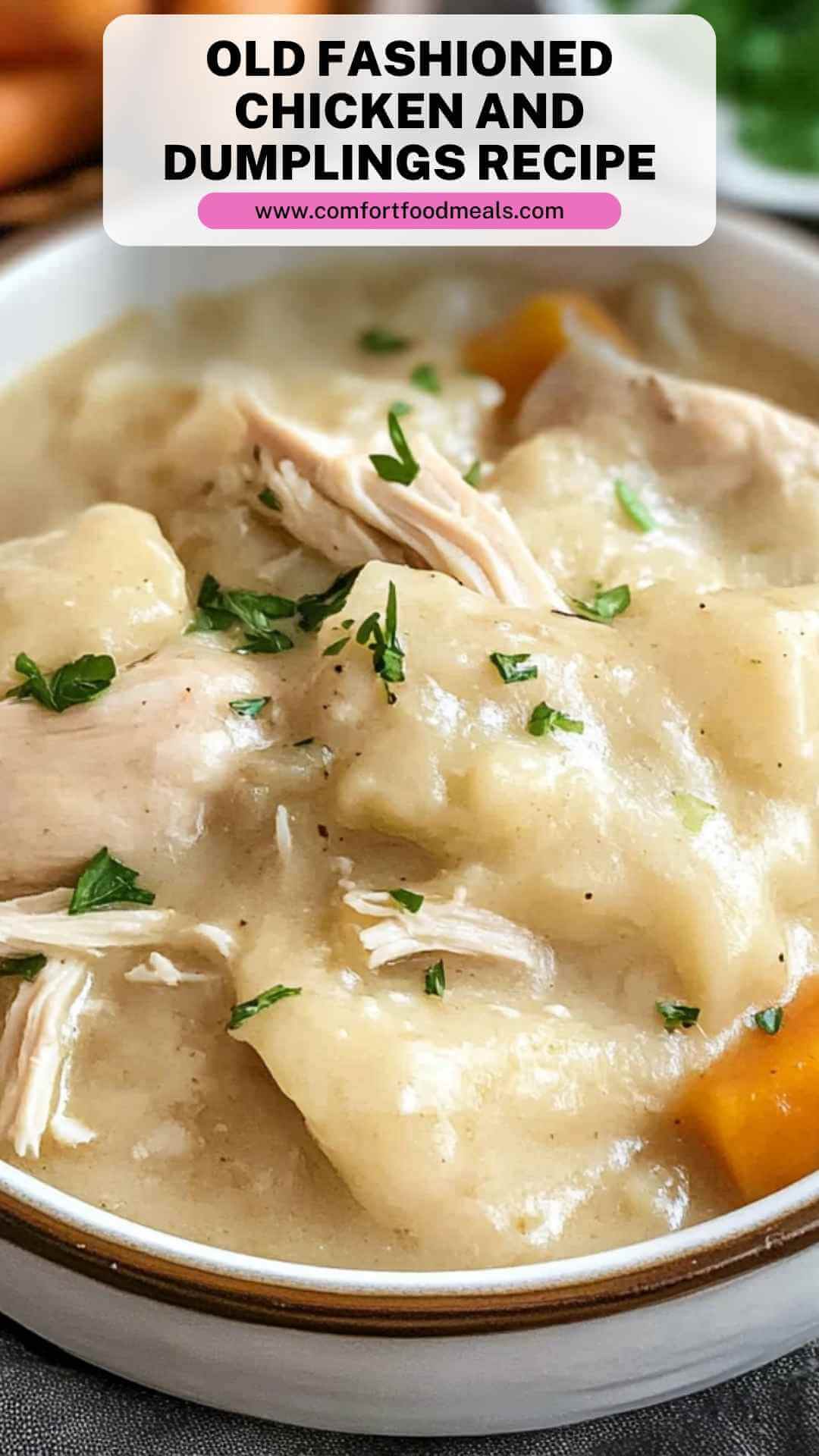 Authentic Homestyle Chicken and Dumplings