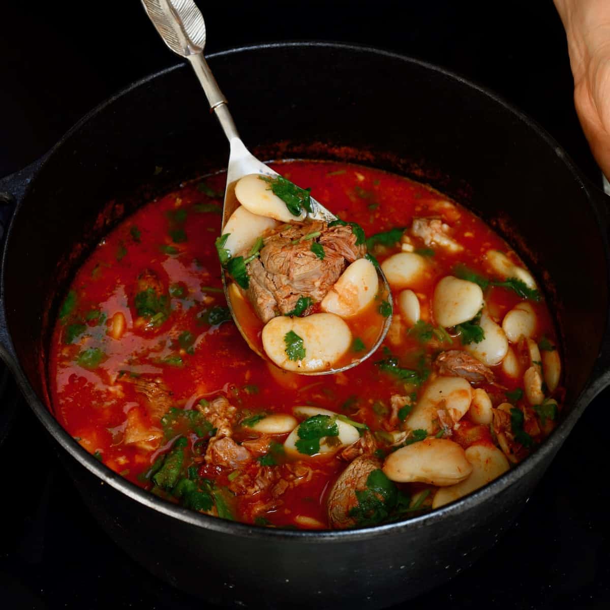 Slow-Simmered Lebanese Fasolia Bean and Beef Stew