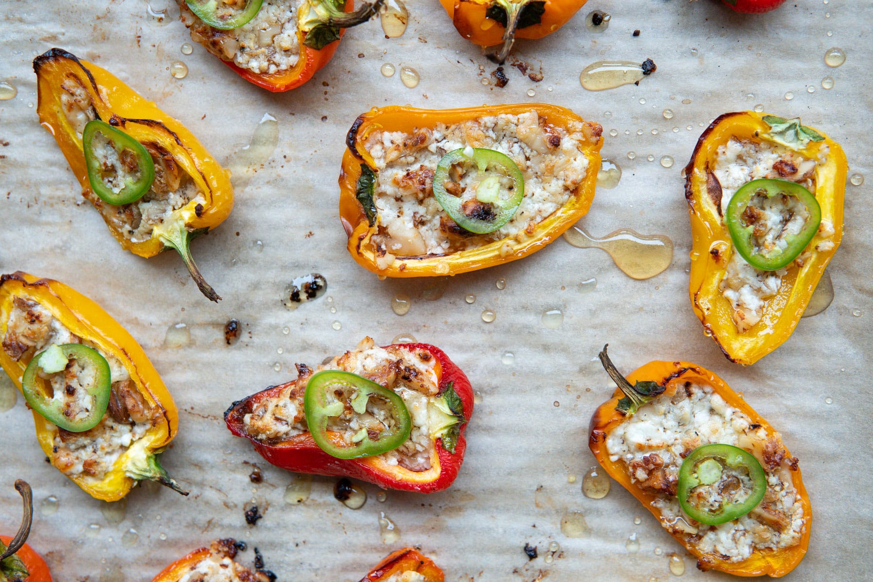 Mountain Lion and Goat Cheese Stuffed Bell Peppers