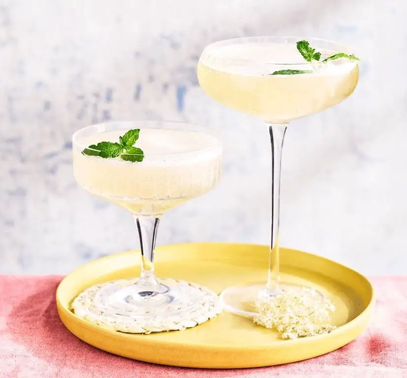 Floral Gin Fizz with Elderflower and Fresh Lemon