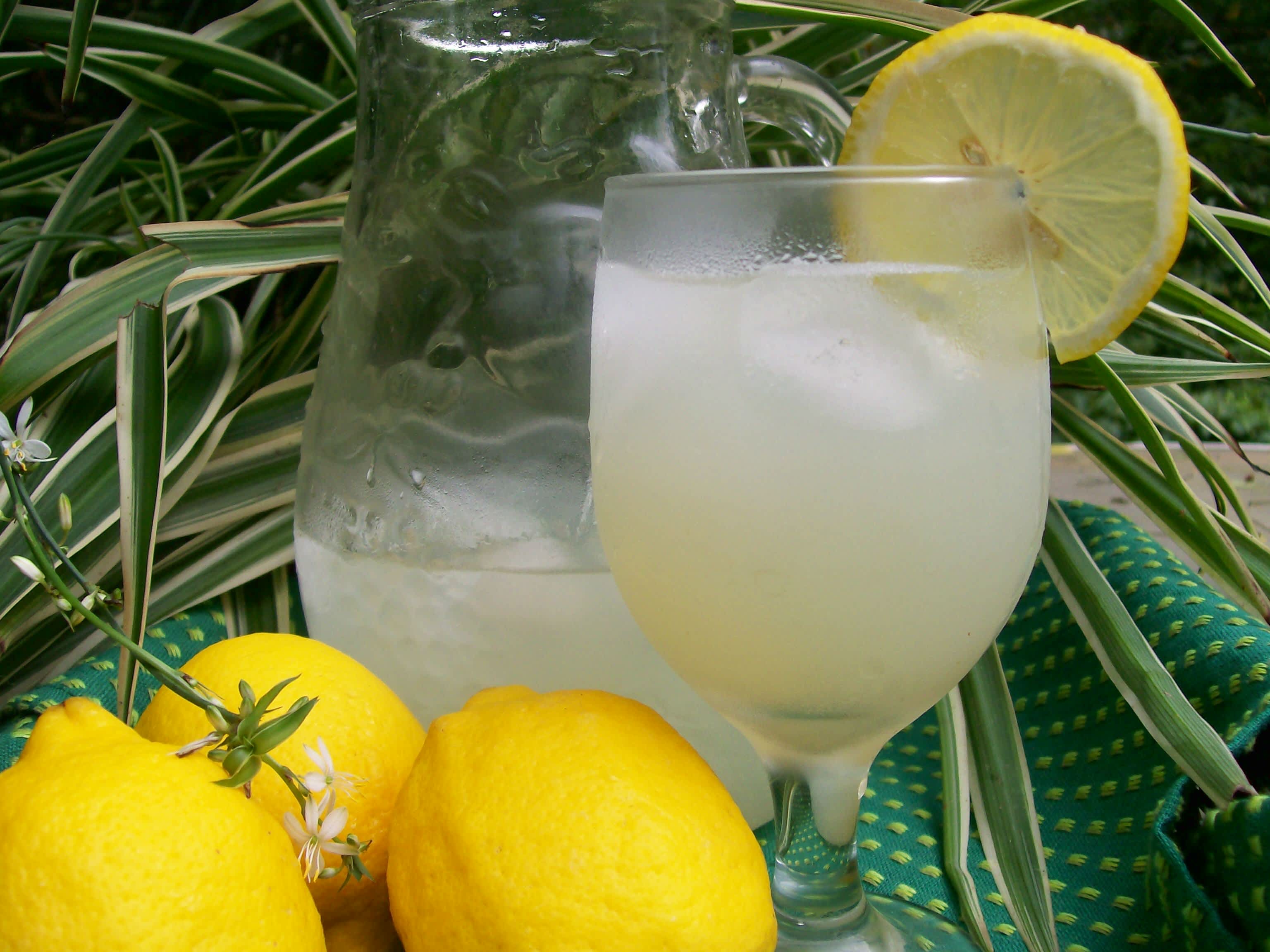 Guitar String Lemonade Sparkler