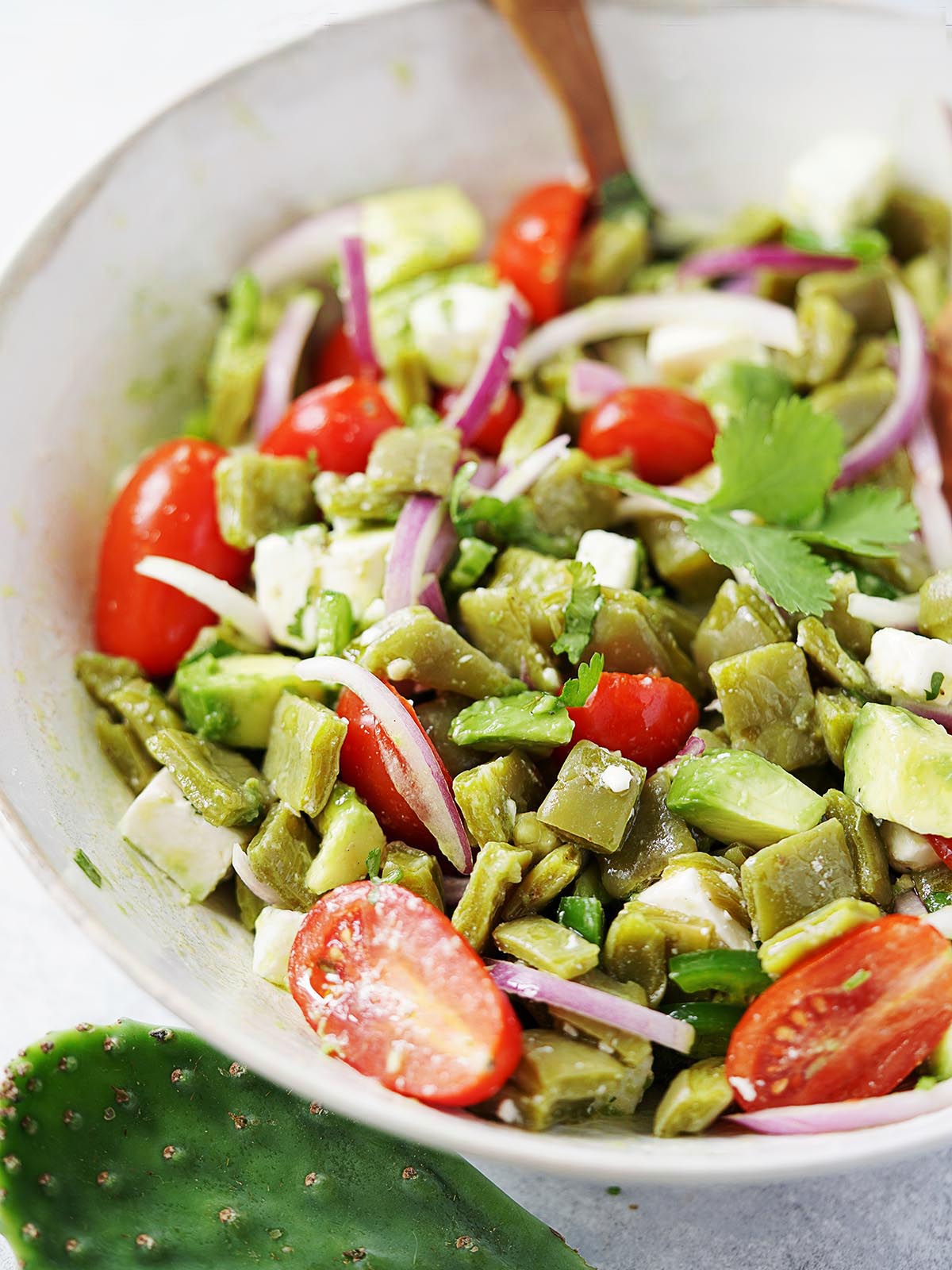 Fresh Nopal Salad with Queso Fresco and Cherry Tomatoes