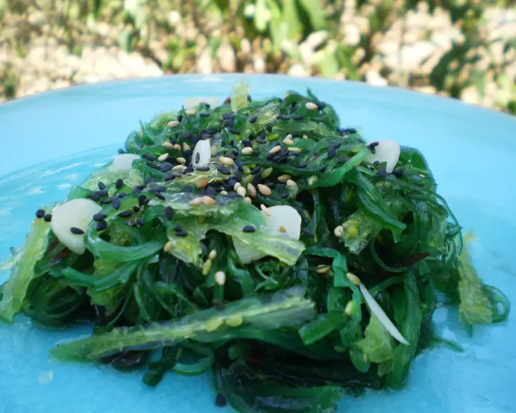 Antarctic Kelp and Seaweed Salad with Sesame Vinaigrette
