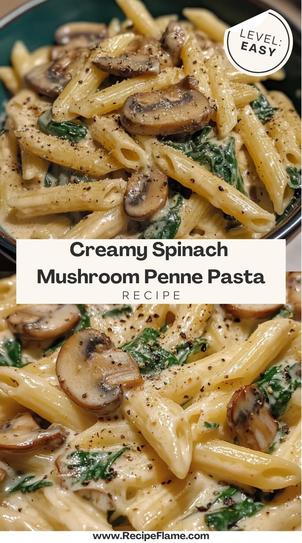One-Pot Creamy Spinach Mushroom Penne