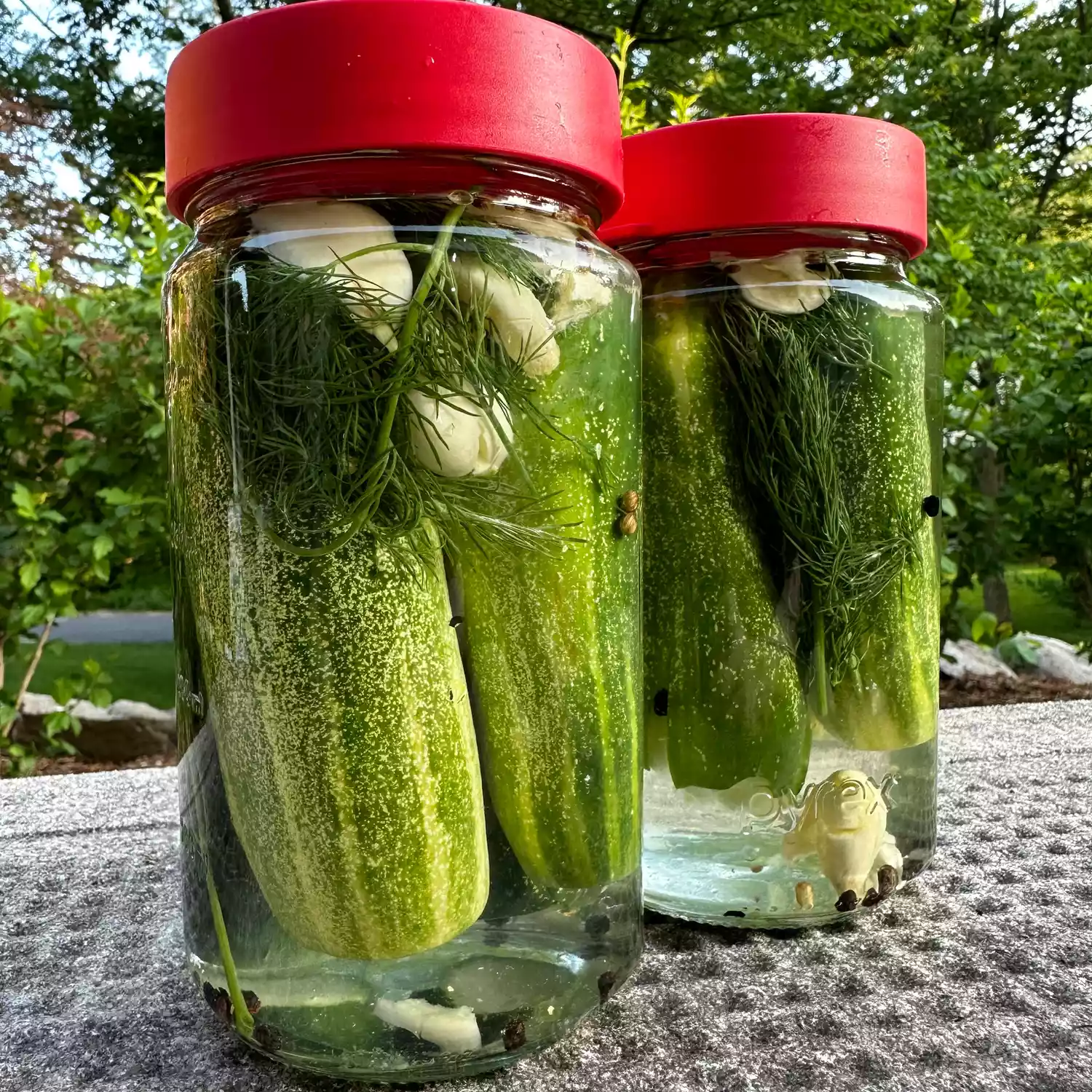 Fermented Half-Sour Pickle Salad with Dill and Garlic