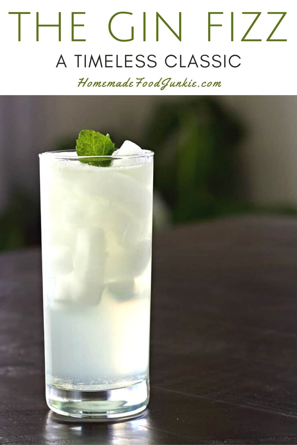 Herbal Infusion Gin Fizz