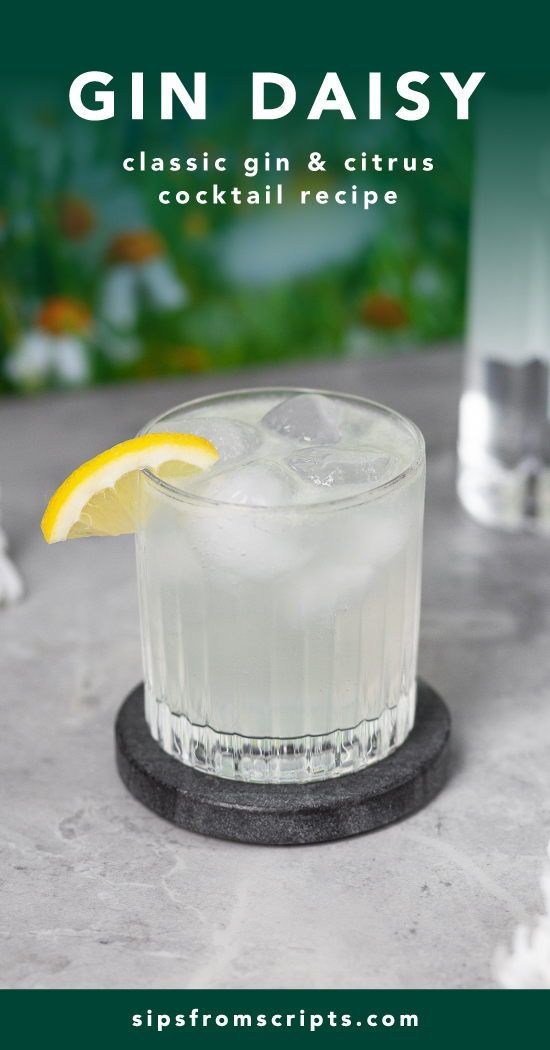 Shaken Citrus Gin Daisy