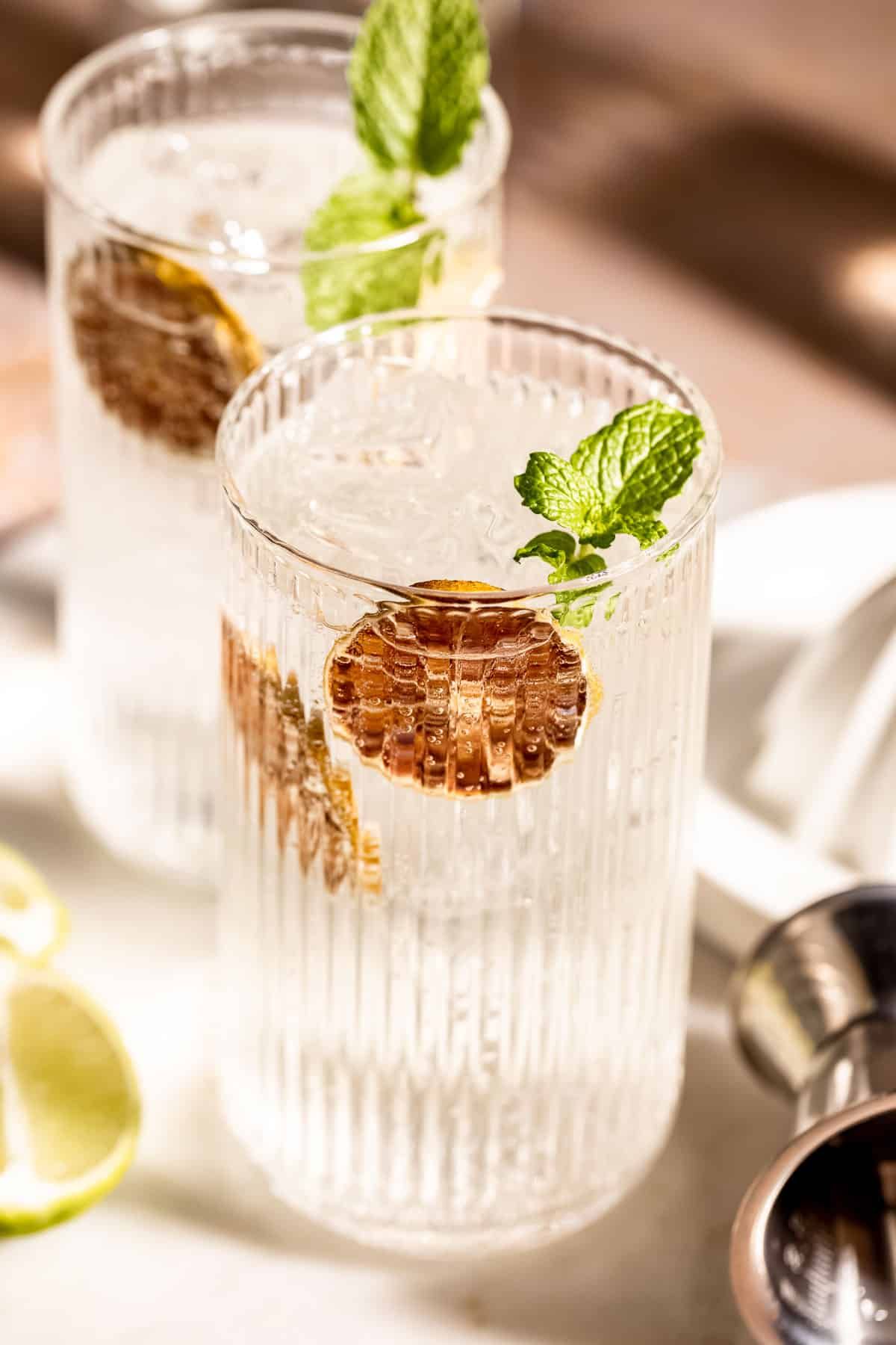 Ginger-Lime Vodka Spark
