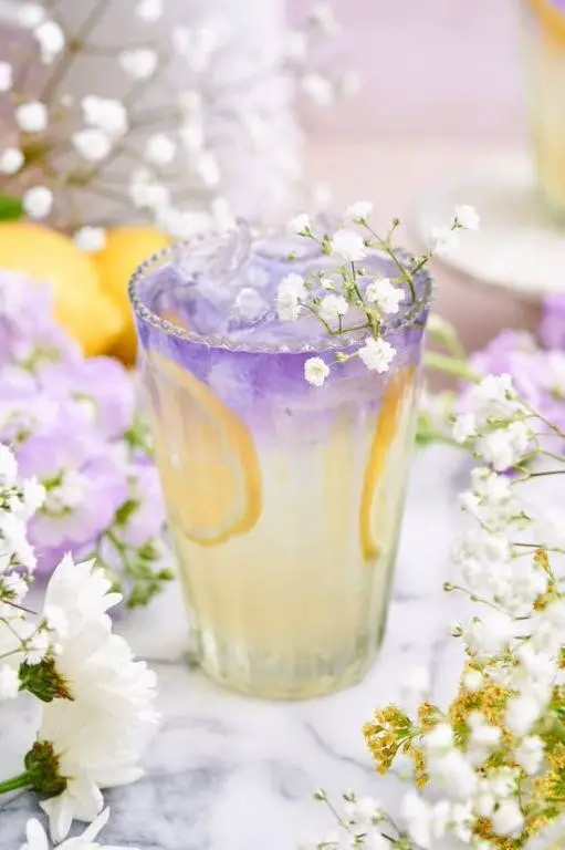 Bright Gin Fizz with Fresh Lime and Elderflower