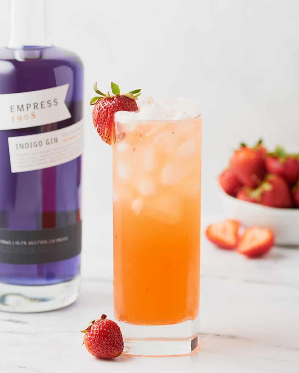 Craft Gin and Elderflower Fizz