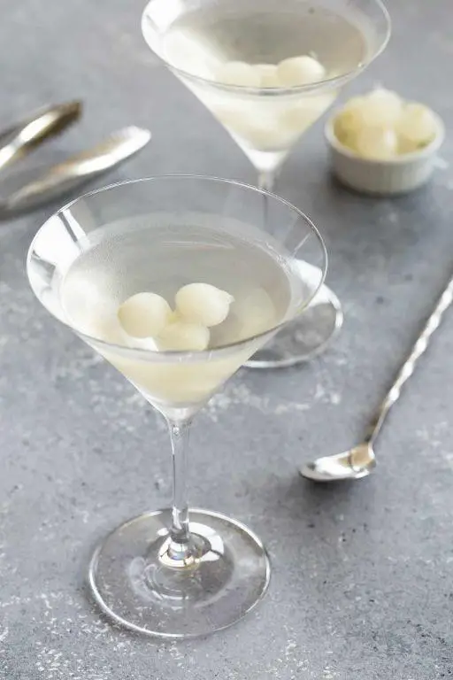 Shaken Citrus Gin Martini