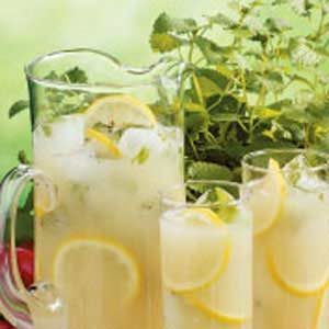 Popular Mint-Lime Cooler